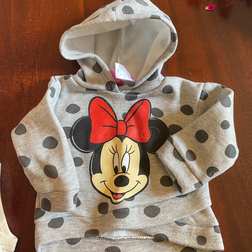 Minnie Mouse sweatshirt